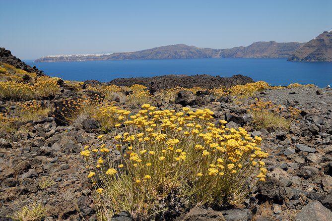 Full Day Santorini Caldera Cruise - Price and Value: What $62.51 Buys (and What It Doesn’t)