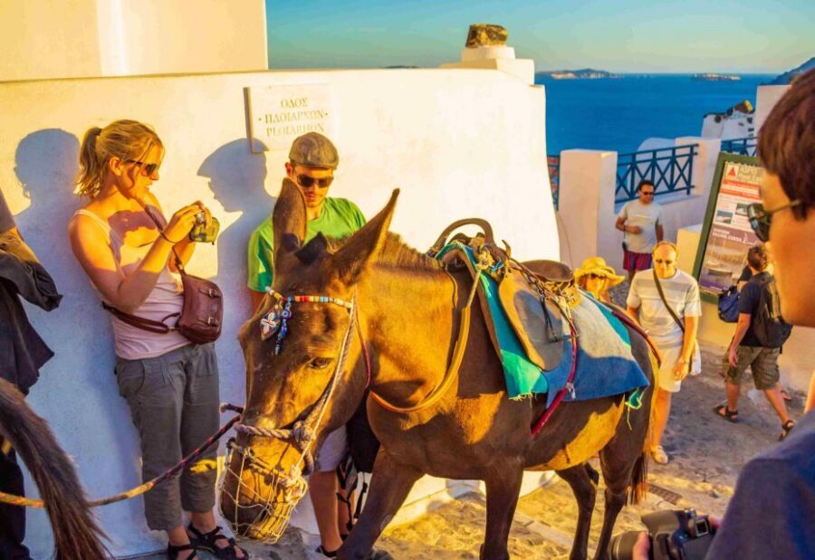 Oia Sunset Daily Tour - Key highlights at a glance