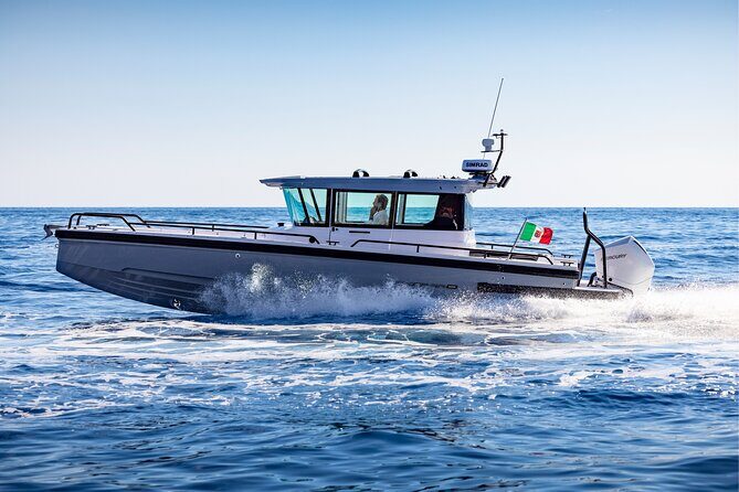 Private Axopar 37 MotorYacht Cruise in Santorini w/ Snack & Drink - What the Snack & Drink Adds to a 5–10 Hour Day