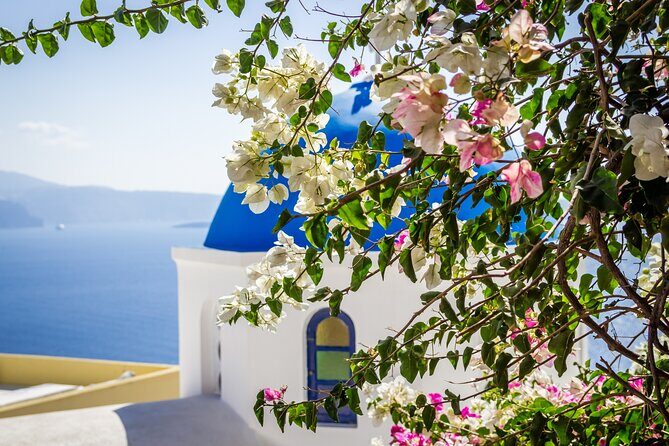 Private Captivating Santorini Highlights Tour inc. tastings - Venetsanos Winery: four wines with pairing and caldera views