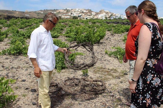 Private Tour: Great Wines and Famous Towns of Santorini - What the Wine Selection Really Means for Your Day