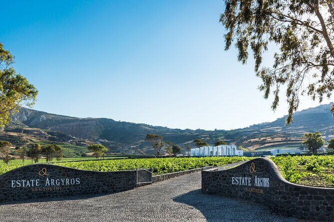 Private Wine Adventure Tour in the Most Distinct Wineries - A Four-and-a-Half Hour Santorini Wine Hit: How This Tour Works
