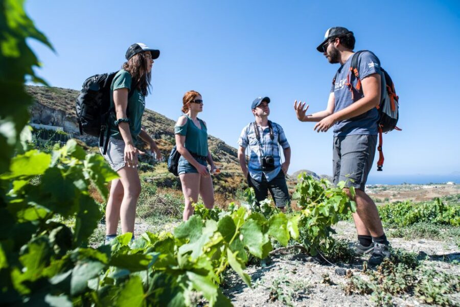 Santorini: Cooking Class and Easy Hike - Mesa Pigadia beach time: the swim break you’ll actually enjoy