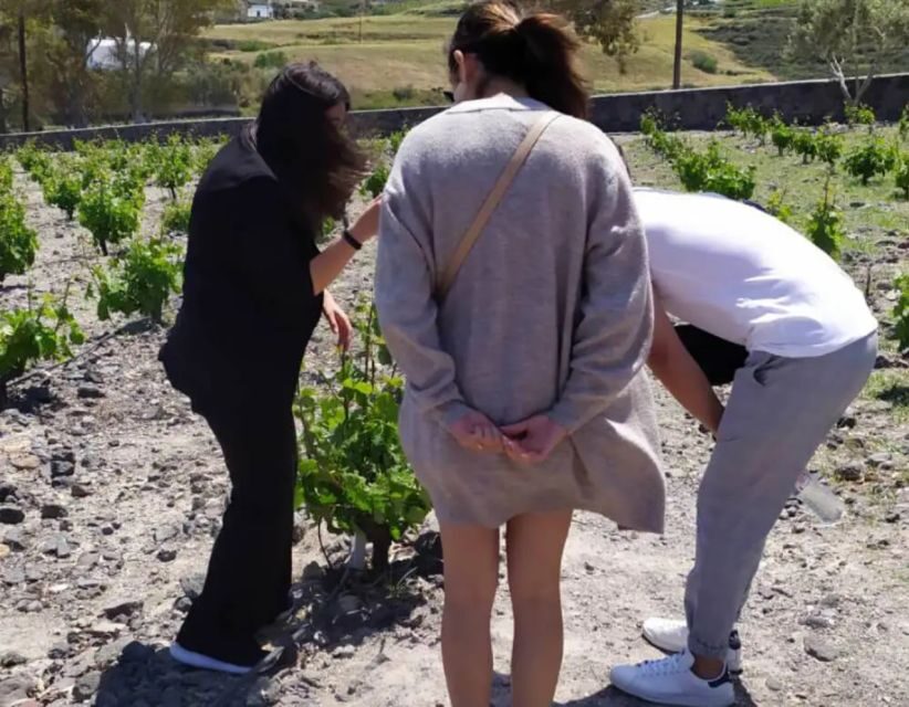 Santorini: Guided Highlights Tour with Private Wine Tasting - Who This Tour Fits Best (and Who Should Skip It)