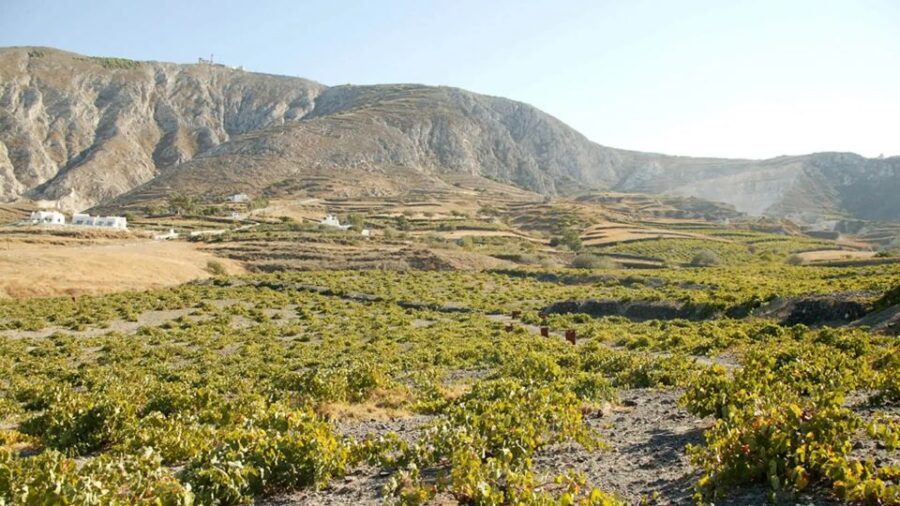 Santorini: Guided Highlights Tour with Private Wine Tasting - A Family-Run Winery: 4 Sips That Actually Teach You Something