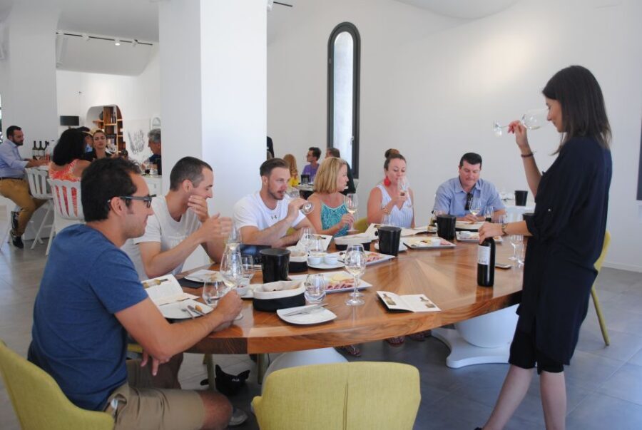 Santorini: Guided Wine Tour with Pickup and Snacks - Key things to know before you go
