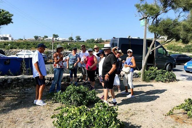 Santorini Half Day Wine Tasting & Winery Tour with Pickup - Estate Argyros: Assyrtiko with award-level polish