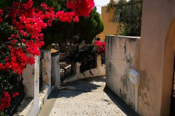 Santorini Highlights Tour 5 Hour - First Impressions: 5 Hours, But It Hits the Major Themes