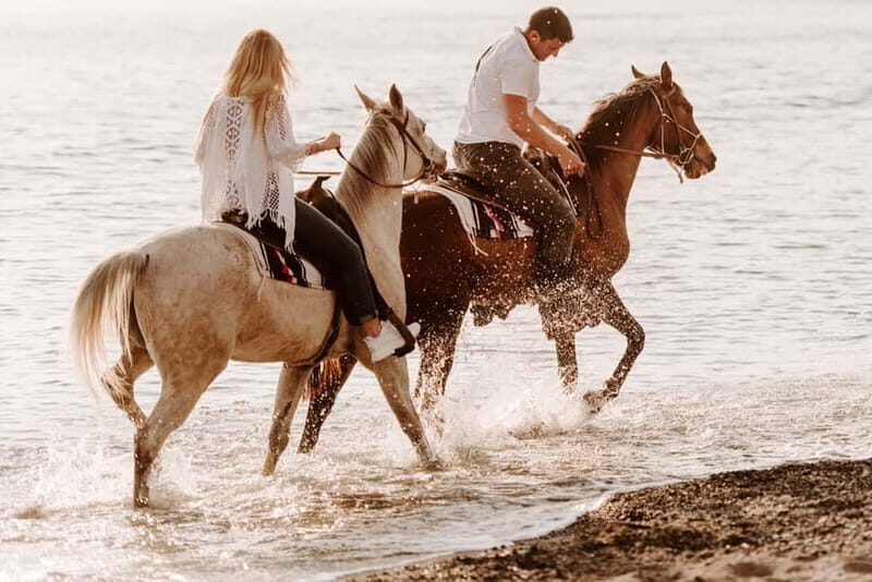 Santorini: Horseback Riding on the Black Sandy Eros Beach - Price and value: is $136 per person worth it?