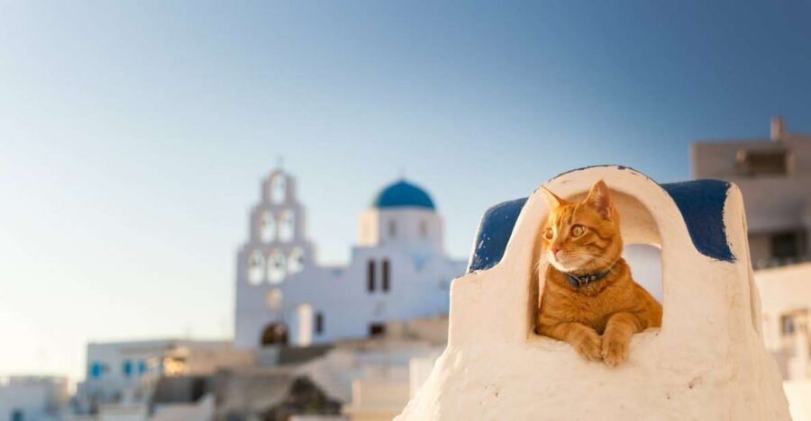Santorini: Private 4-Hour Chauffeur Service - A 4-hour day that actually feels like a day