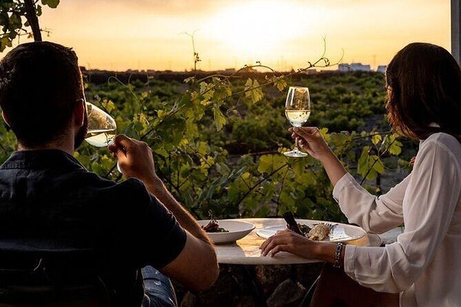 Santorini Private Wine Tasting Tour with Greek Lunch - Estate Argyros: A Classic Winemaking Family, with Modern Thinking