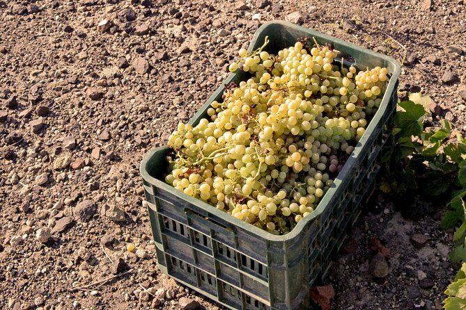 Santorini Private Wine Tour - Pickup, timing, and what to bring for a smooth day