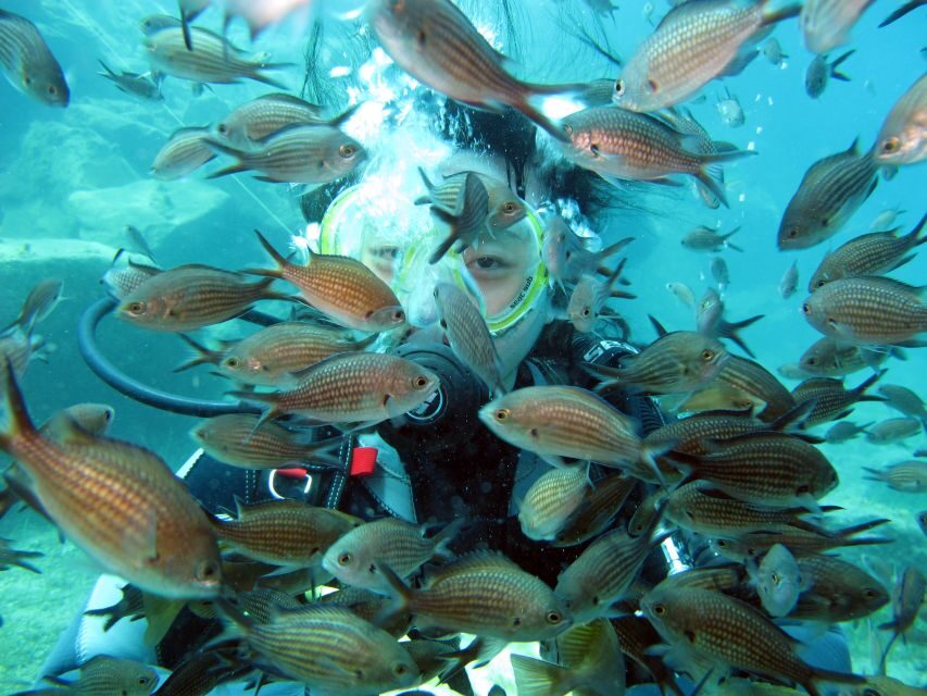 Santorini: Scuba Diving Experience for Beginners - Instructors, safety vibes, and why small groups matter