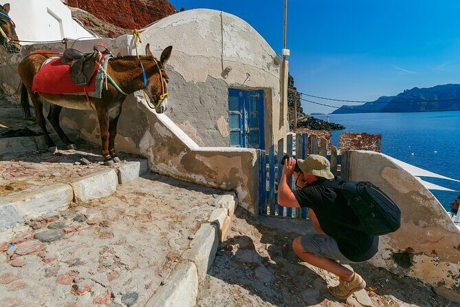 Santorini Tour Designed Especially for Cruise Passengers - Practical Tips So You Don’t Lose Time (or Sanity)