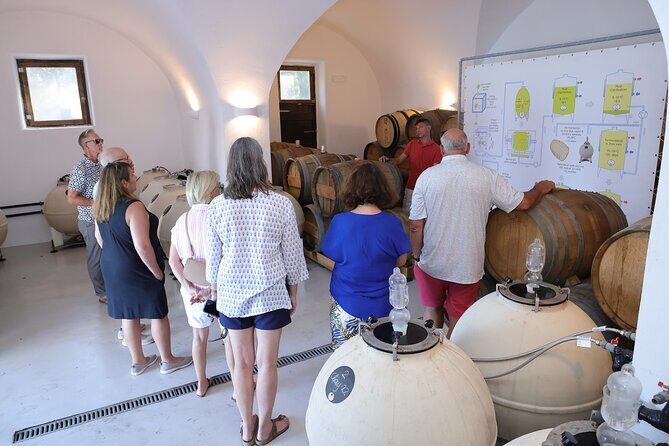 Santorini Wine Stories: Sunset Tour with Tasting & Dinner - Small Group Size: The Good Side and the Watch-Out